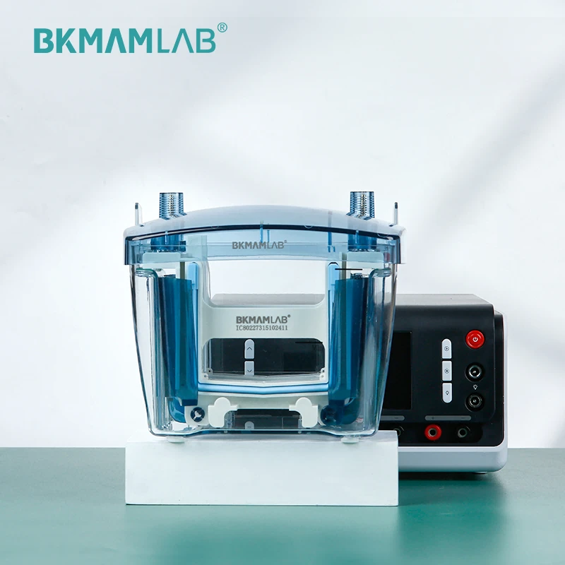 Equipment Supplier Electrophoresis Apparatus high quality